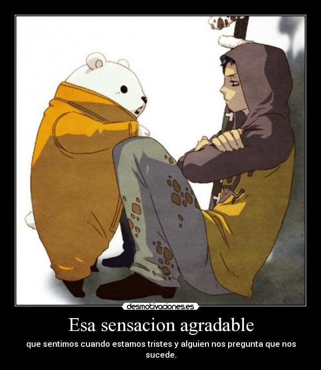 carteles one piece trafalgar law bepo desmotivaciones