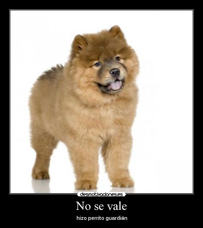 No se vale - 