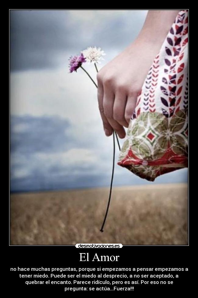 El Amor -