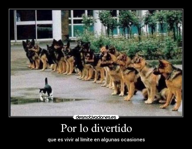 Por lo divertido - que es vivir al límite en algunas ocasiones