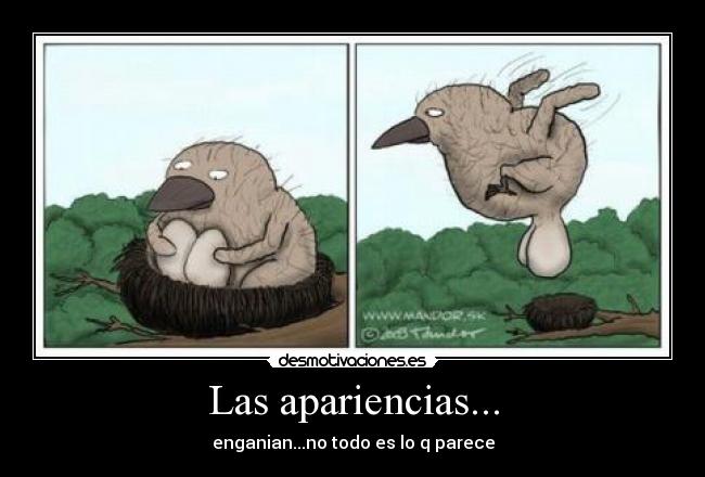 carteles zoak340 desmotivaciones