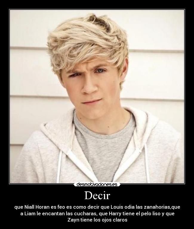 carteles niall horan perfeccion desmotivaciones