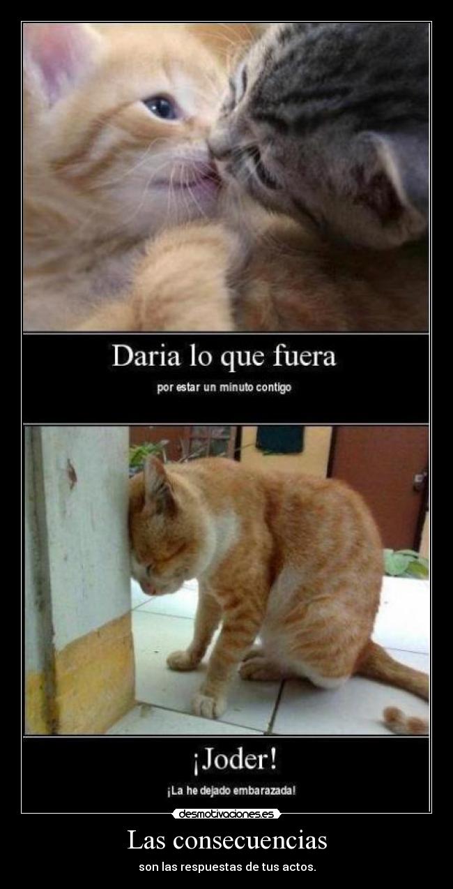 Las consecuencias -