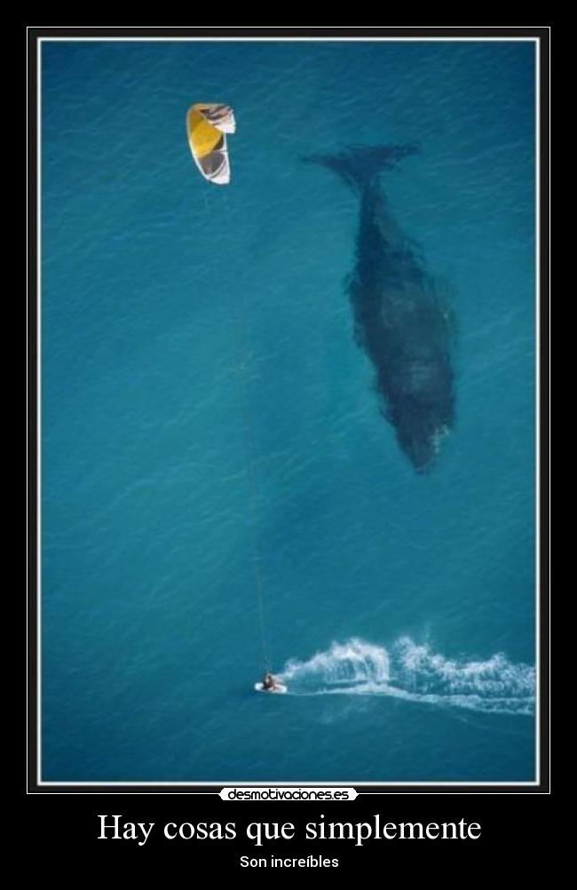 Hay cosas que simplemente - Son increíbles