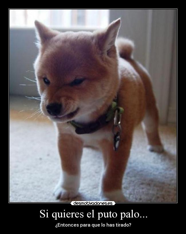 Si quieres el puto palo... -