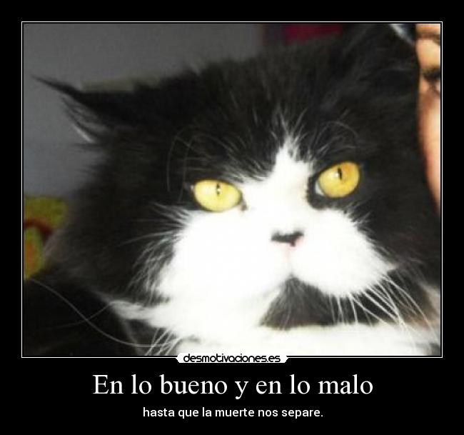 En lo bueno y en lo malo - hasta que la muerte nos separe.
