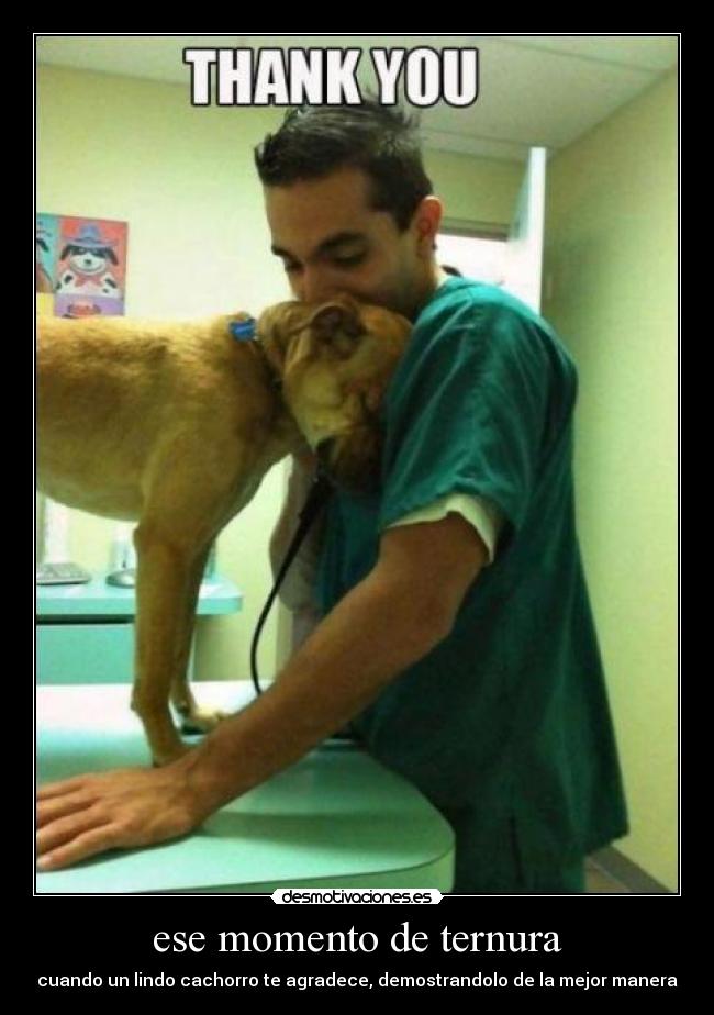 carteles enigmafortinero desmotivaciones