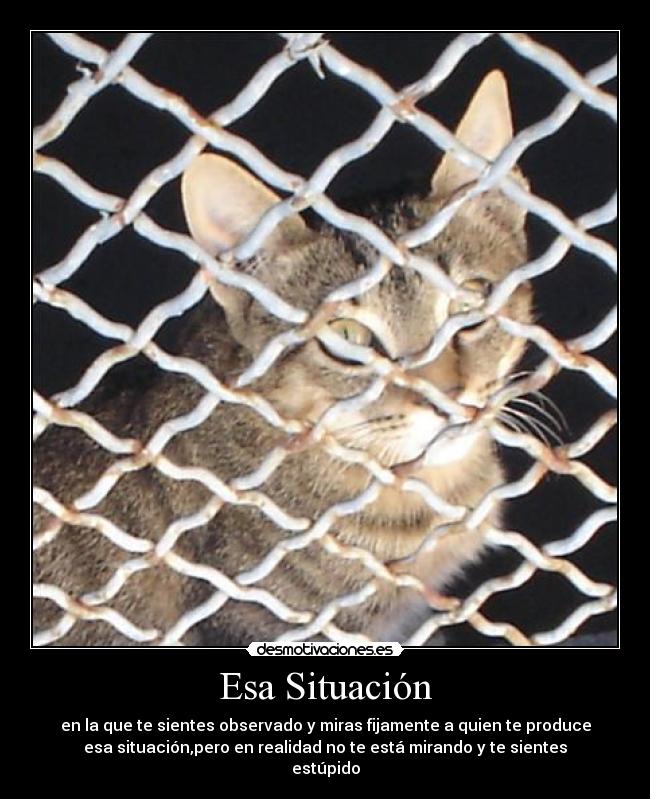 Esa Situación - en la que te sientes observado y miras fijamente a quien te produce
esa situación,pero en realidad no te está mirando y te sientes
estúpido
