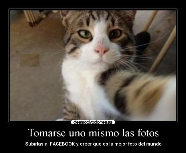 Tomarse uno mismo las fotos -
