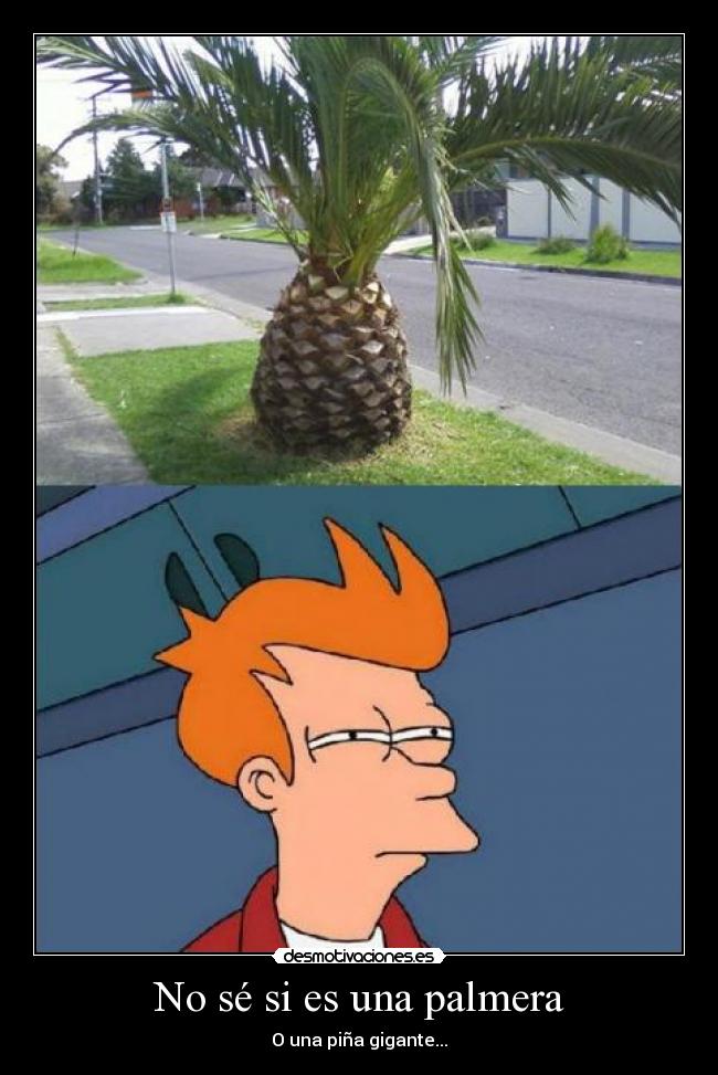 No sé si es una palmera - O una piña gigante...