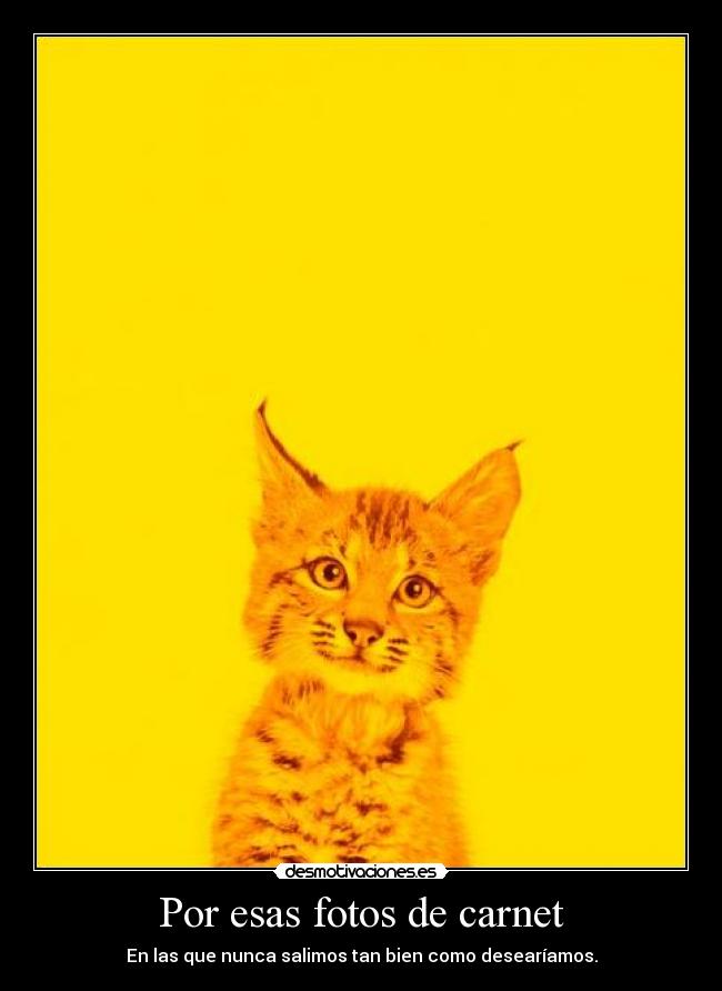 Por esas fotos de carnet - 