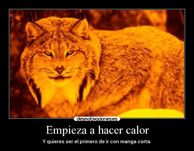 carteles rogertuba lince desmotivaciones