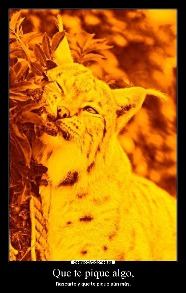 Que te pique algo, -