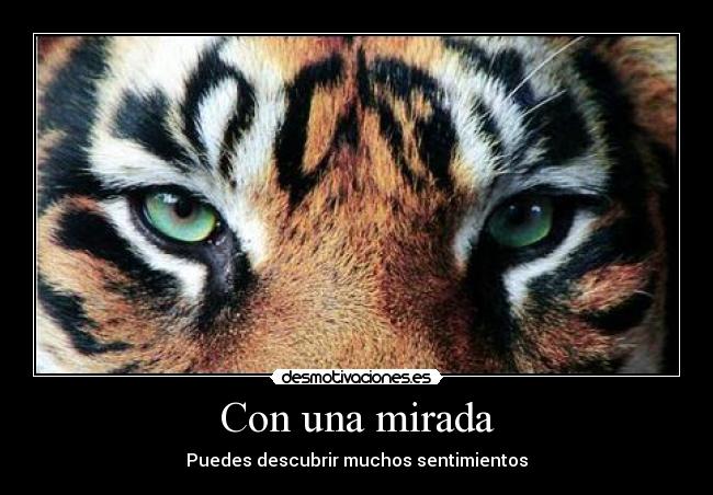 carteles hijogaydewaltk todos gays xddddd desmotivaciones