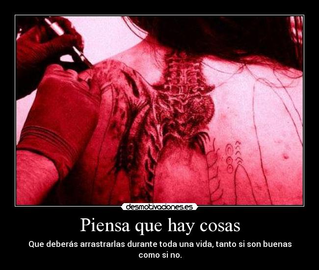 carteles rogertuba pene troll cae seguro desmotivaciones