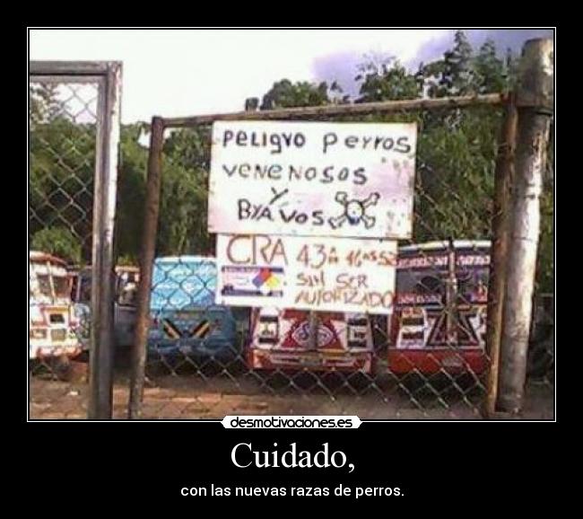 Cuidado, - con las nuevas razas de perros.