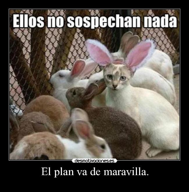 El plan va de maravilla. - 
