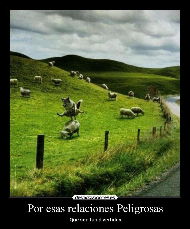 Por esas relaciones Peligrosas - Que son tan divertidas