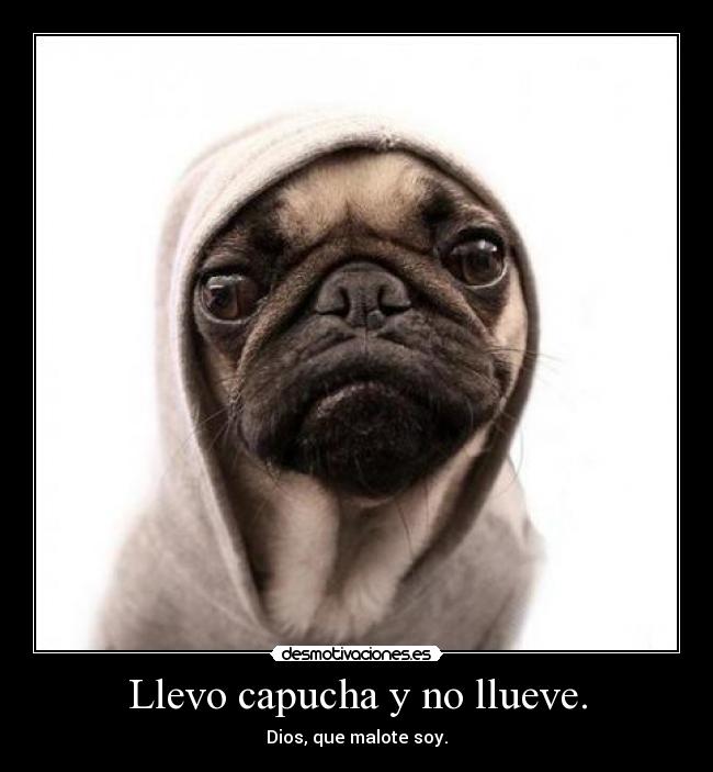 Llevo capucha y no llueve. - Dios, que malote soy.