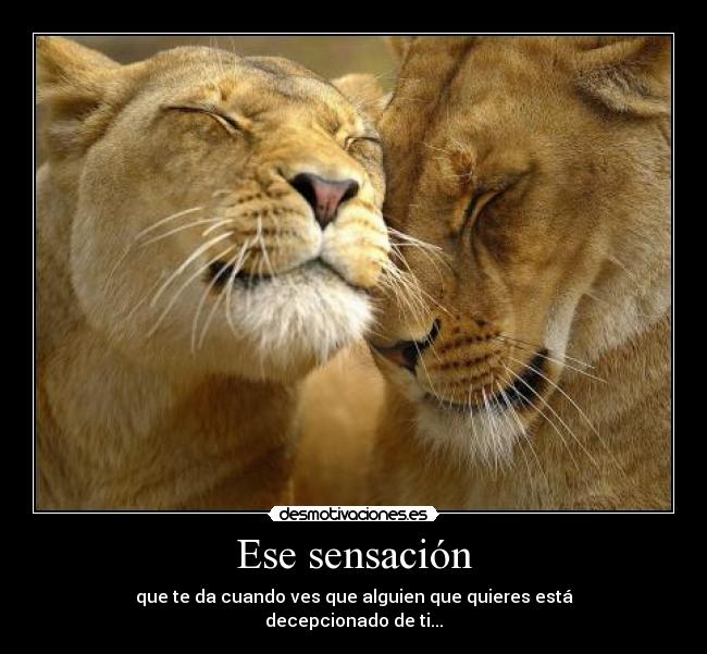 Ese sensación - 