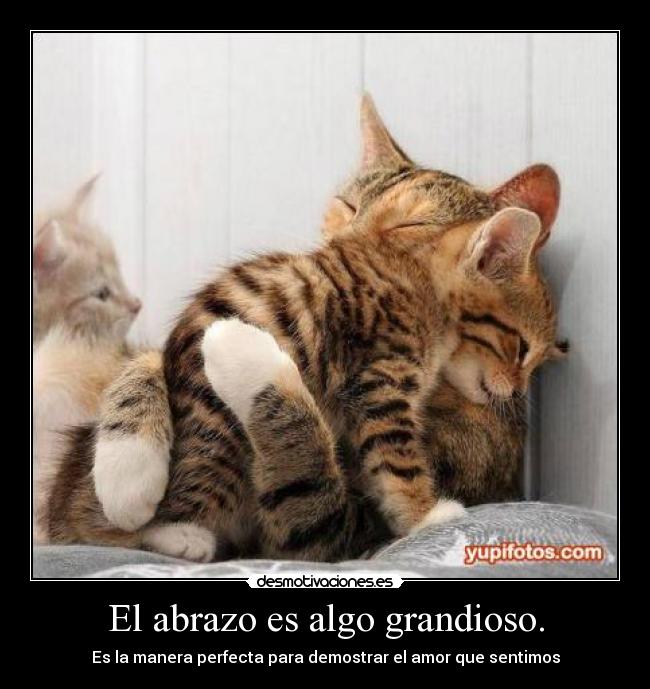 El abrazo es algo grandioso. -