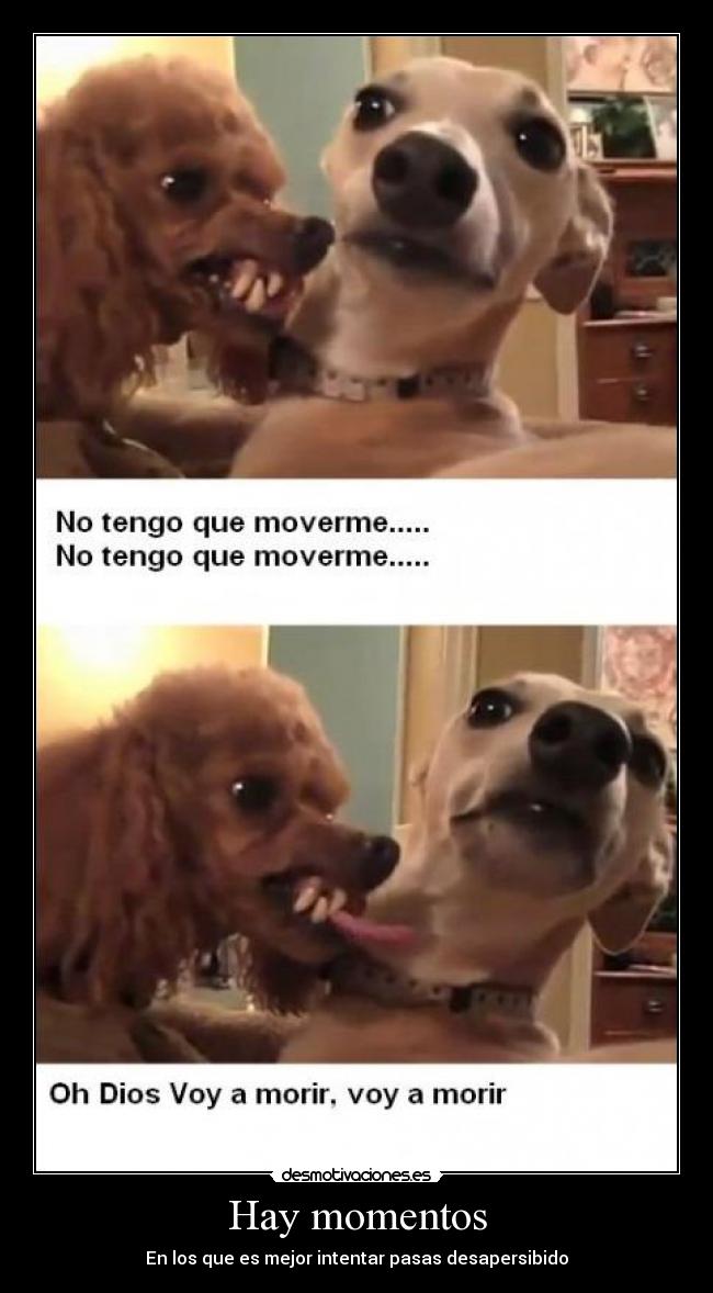 Hay momentos - En los que es mejor intentar pasas desapersibido