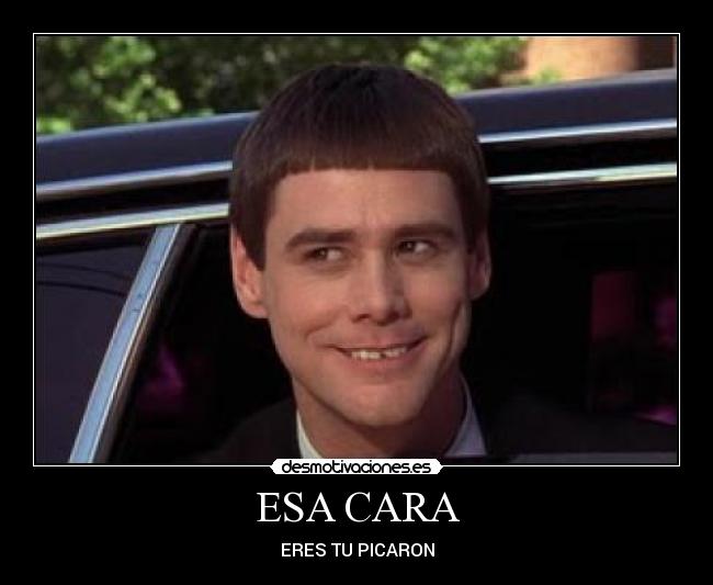 carteles desmotivaciones