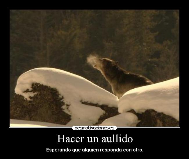 carteles rogertuba desmotivaciones