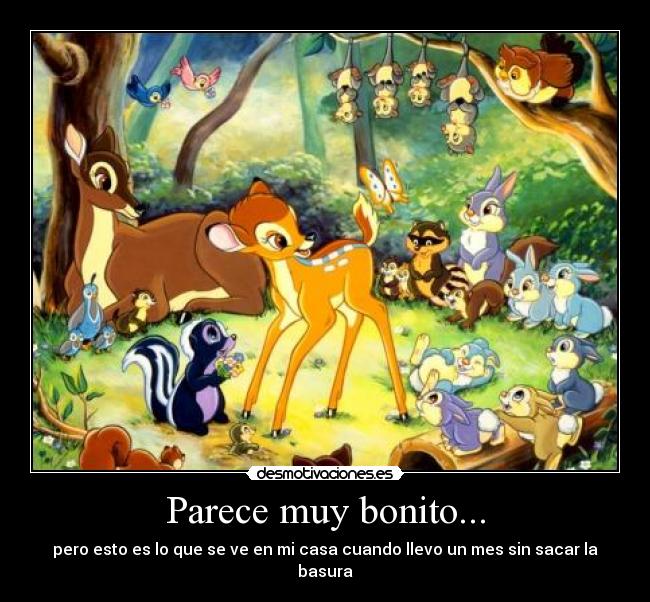 Parece muy bonito... -