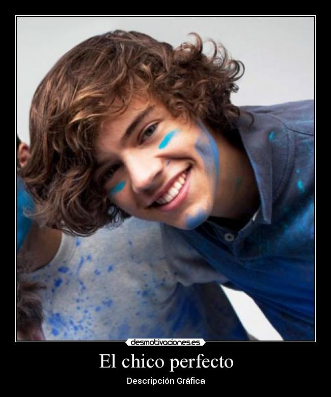El chico perfecto - Descripción Gráfica