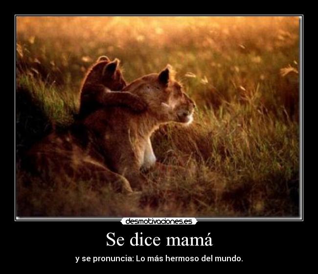 Se dice mamá - y se pronuncia: Lo más hermoso del mundo.