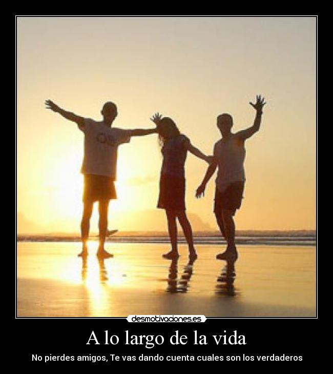 carteles vida amigos desmotivaciones