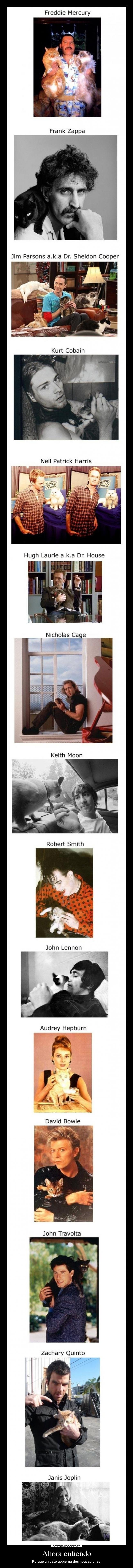 carteles gatos waltk leyendas ardillas marinas desmotivaciones