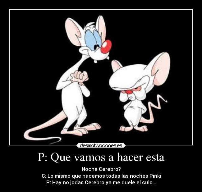 P: Que vamos a hacer esta - Noche Cerebro?
C: Lo mismo que hacemos todas las noches Pinki
P: Hay no jodas Cerebro ya me duele el culo...