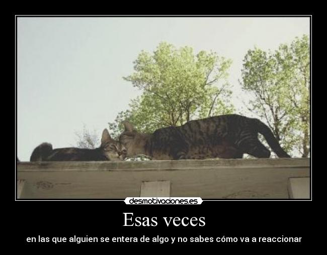 Esas veces -