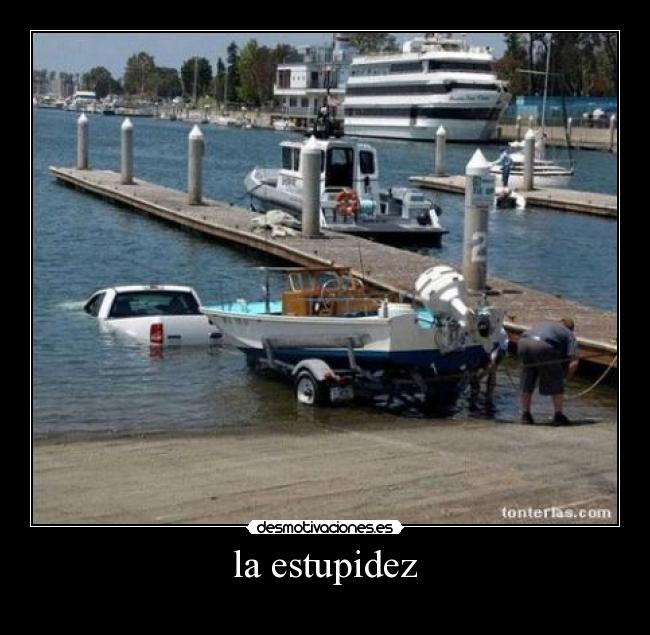 la estupidez -