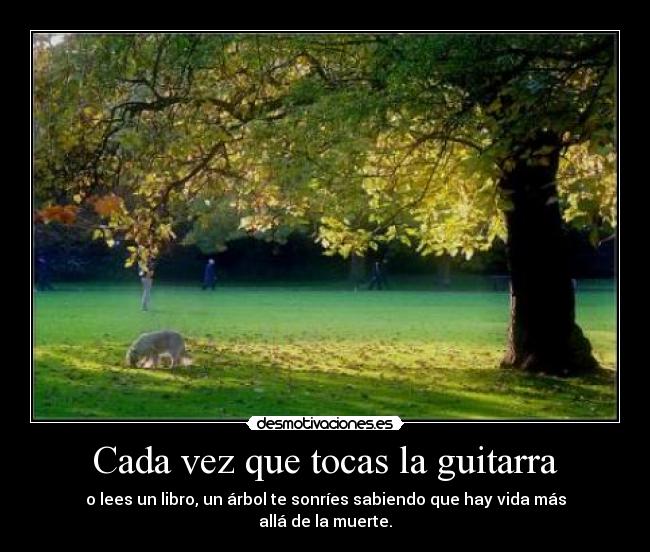 Cada vez que tocas la guitarra - o lees un libro, un árbol te sonríes sabiendo que hay vida más allá de la muerte.