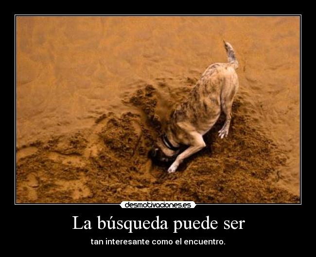 La búsqueda puede ser - tan interesante como el encuentro.