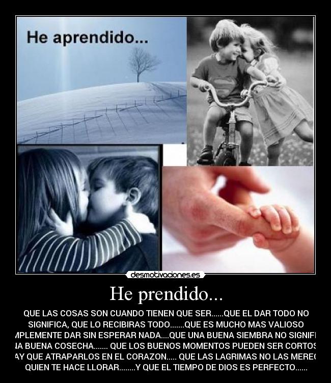 carteles aprendido desmotivaciones