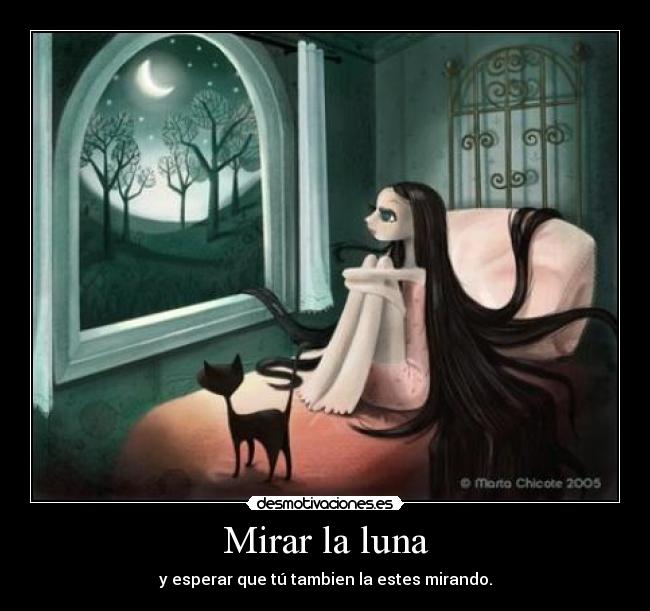 Mirar la luna -