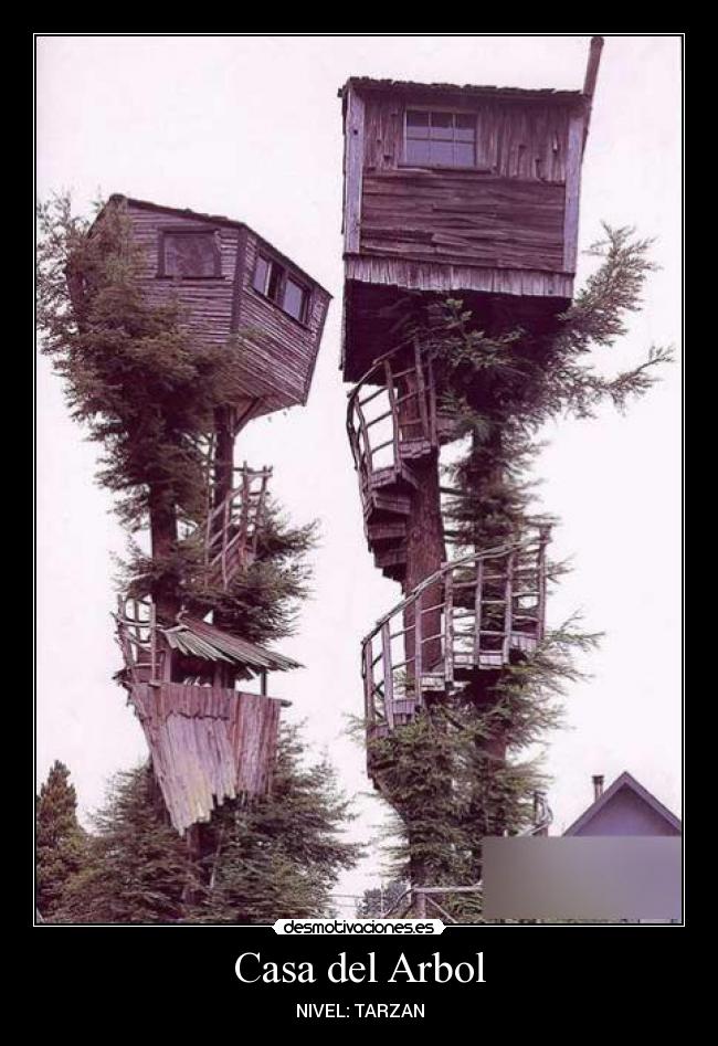 Casa del Arbol -