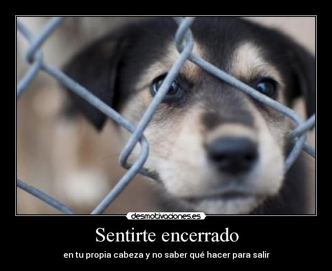 Sentirte encerrado - en tu propia cabeza y no saber qué hacer para salir