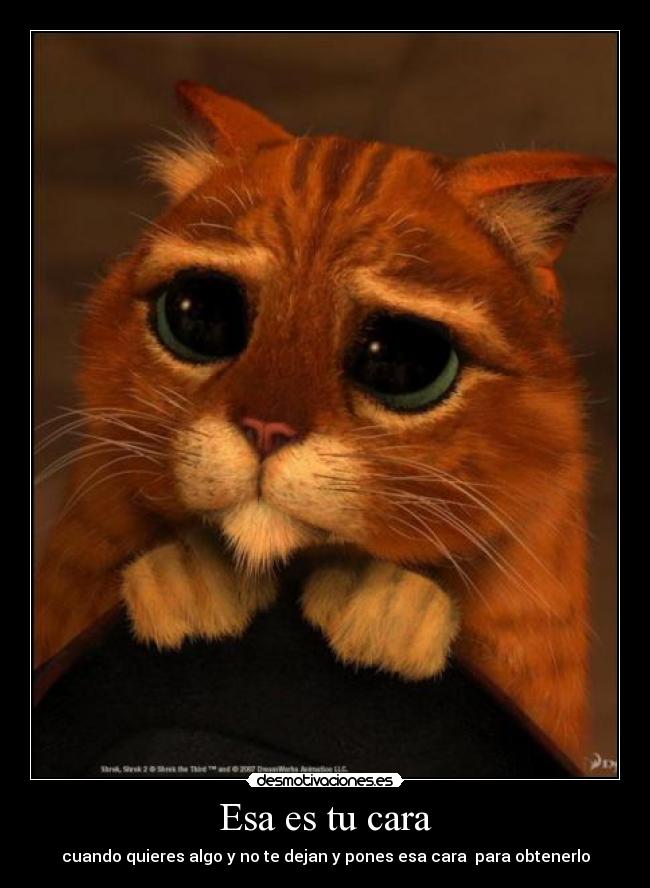 Esa es tu cara -