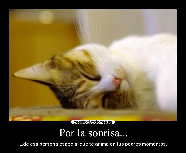Por la sonrisa... - ...de esa persona especial que te anima en tus peores momentos.