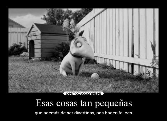 Esas cosas tan pequeñas - que además de ser divertidas, nos hacen felices.