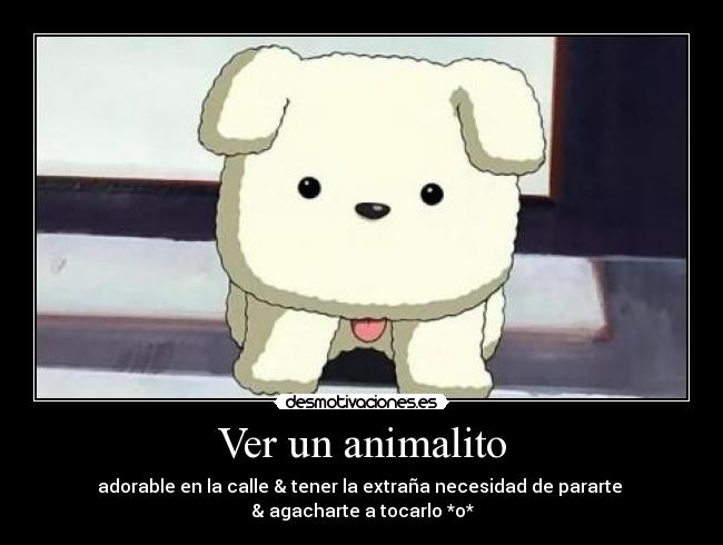 Ver un animalito - 