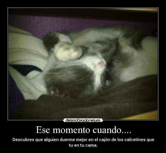 carteles  desmotivaciones