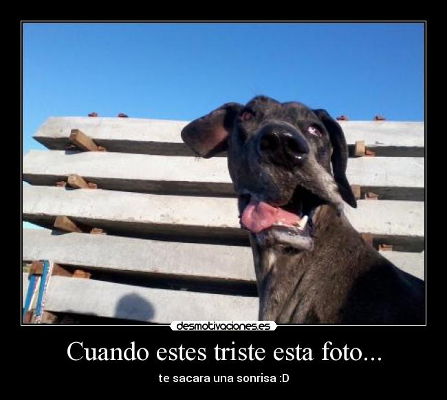 Cuando estes triste esta foto... -
