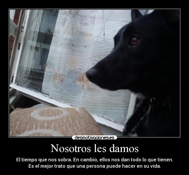 Nosotros les damos - El tiempo que nos sobra. En cambio, ellos nos dan todo lo que tienen.
Es el mejor trato que una persona puede hacer en su vida.