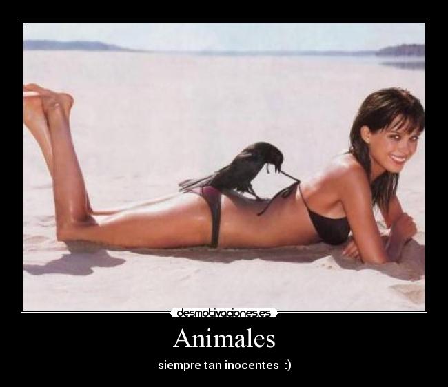 Animales - siempre tan inocentes :)